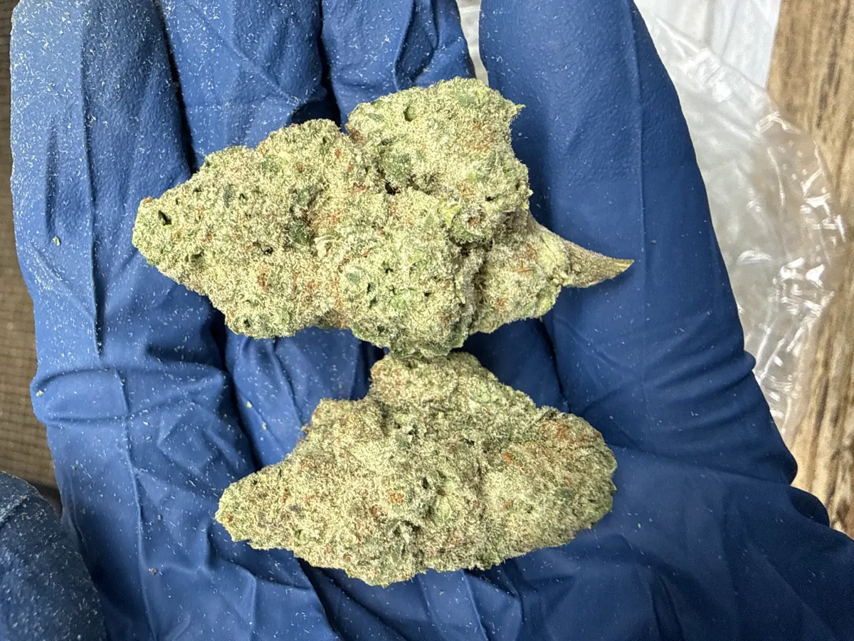 Golden Papaya Packaged Flower